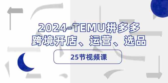 2024TEMU拼多多跨境开店、运营、选品（25节视频课）-来友网创