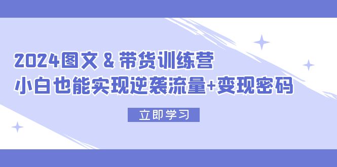 （12137期）2024 图文+带货训练营，小白也能实现逆袭流量+变现密码-来友网创