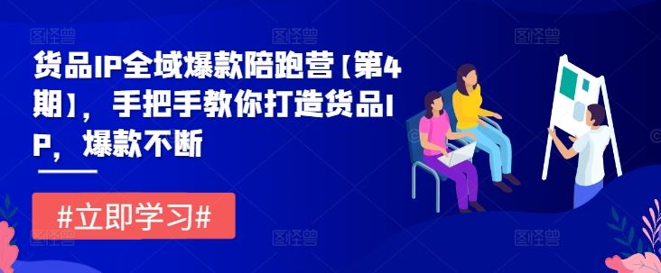 货品IP全域爆款陪跑营【第4期】，手把手教你打造货品IP，爆款不断-来友网创