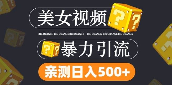 搬运tk美女视频全网分发，日引s粉300+，轻松变现，不限流量不封号【揭秘】-来友网创