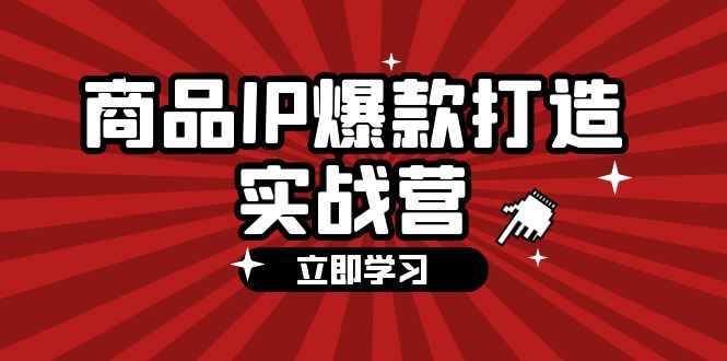 （12136期）商品-IP爆款打造实战营【第四期】，手把手教你打造商品IP，爆款 不断-来友网创