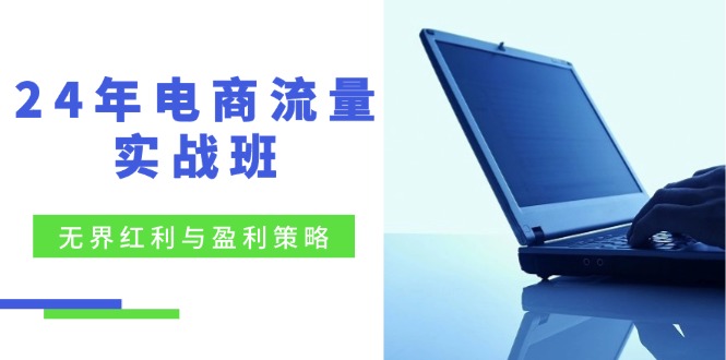 （12168期）24年电商流量实战班：无界 红利与盈利策略，终极提升/关键词优化/精准…-来友网创