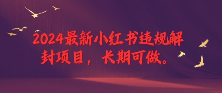 2024最新小红书违规解封项目，长期可做，一个可以做到退休的项目【揭秘】-来友网创