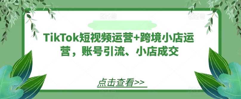 TikTok短视频运营+跨境小店运营，账号引流、小店成交-来友网创