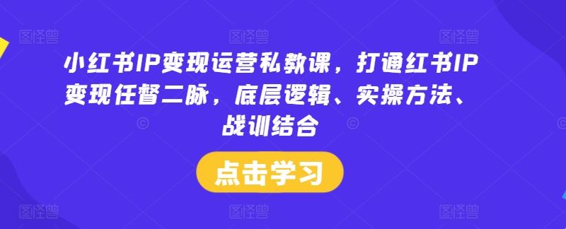 小红书IP变现运营私教课，打通红书IP变现任督二脉，底层逻辑、实操方法、战训结合-来友网创