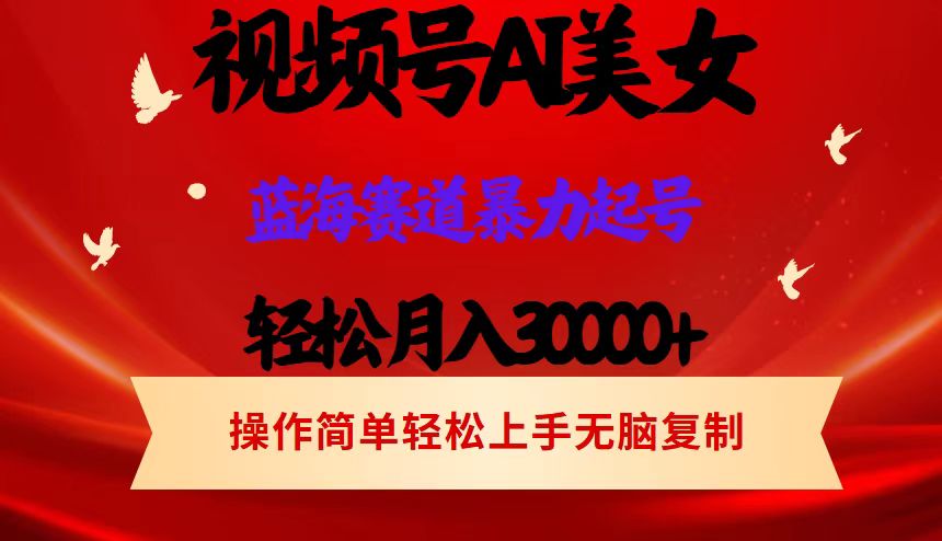 （12178期）视频号AI美女跳舞，轻松月入30000+，蓝海赛道，流量池巨大，起号猛，当…-来友网创