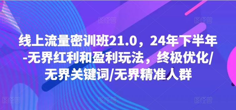 线上流量密训班21.0，24年下半年-无界红利和盈利玩法，终极优化/无界关键词/无界精准人群-来友网创