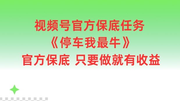 视频号官方保底任务，停车我最牛，官方保底只要做就有收益【揭秘】-来友网创