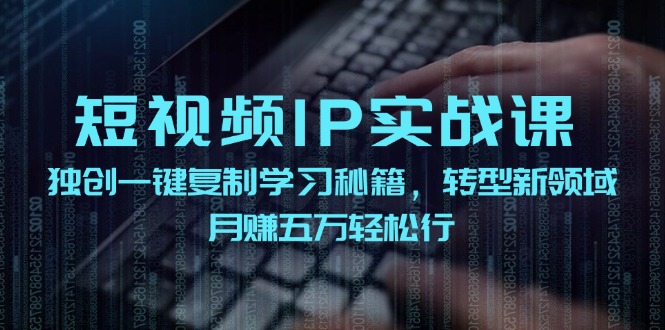 （12193期）短视频 IP实战课，独创一键复制学习秘籍，转战新领域，月赚五万轻松行-来友网创