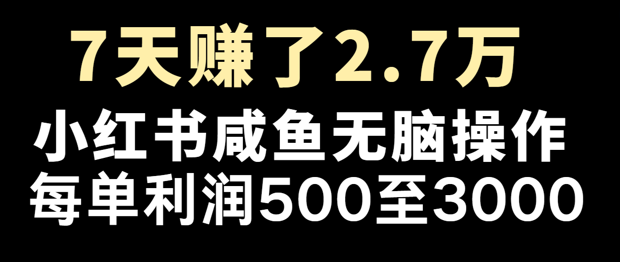 七天赚了2.7万！每单利润最少500+，轻松月入5万+小白有手就行-来友网创