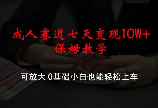 成人赛道七天变现10W+保姆教学，可放大，0基础小白也能轻松上车【揭秘】-来友网创