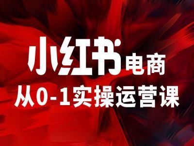 小红书电商从0-1实操运营课，让你从小白到精英-来友网创