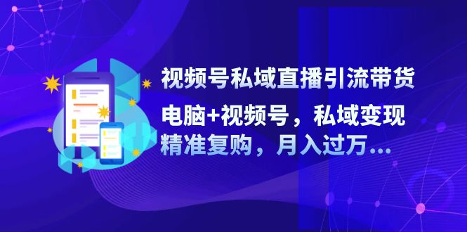 （12249期）视频号私域直播引流带货：电脑+视频号，私域变现，精准复购，月入过万…-来友网创