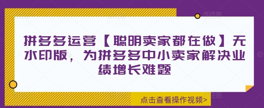 拼多多运营【聪明卖家都在做】无水印版，为拼多多中小卖家解决业绩增长难题-来友网创