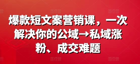 爆款短文案营销课，一次解决你的公域→私域涨粉、成交难题-来友网创