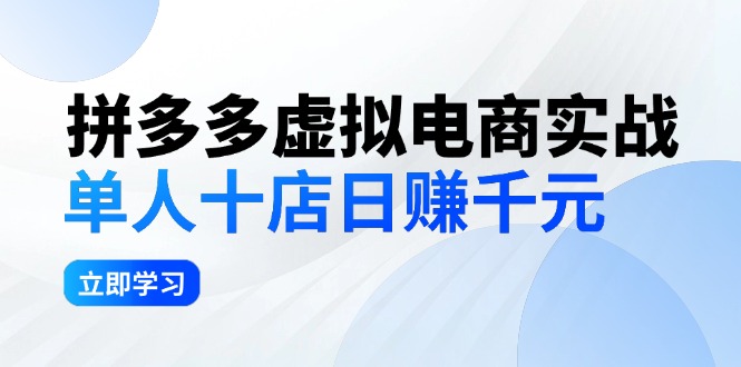 （12326期）拼多多虚拟电商实战：单人10店日赚千元，深耕老项目，稳定盈利不求风口-来友网创