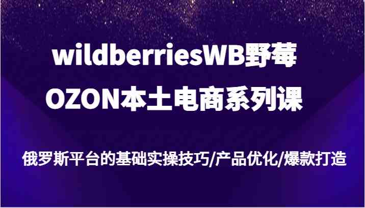 wildberriesWB野莓/OZON本土电商系列课，俄罗斯平台的基础实操技巧/产品优化/爆款打造-来友网创