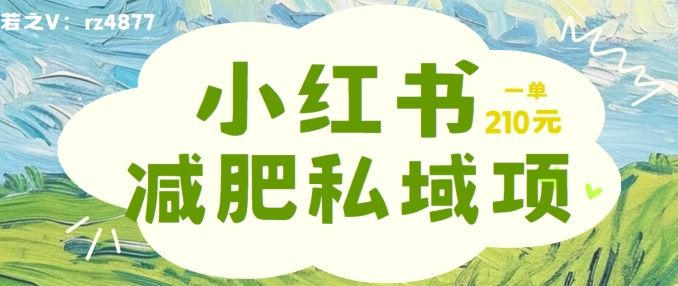 小红书减肥粉，私域变现项目，一单就达210元，小白也能轻松上手【揭秘】-来友网创