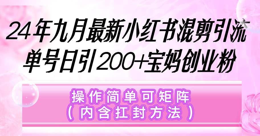 （12530期）小红书混剪引流，单号日引200+宝妈创业粉，操作简单可矩阵（内含扛封…-来友网创