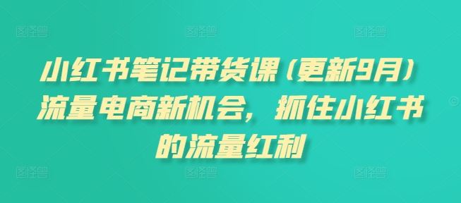 小红书笔记带货课(更新9月)流量电商新机会，抓住小红书的流量红利-来友网创