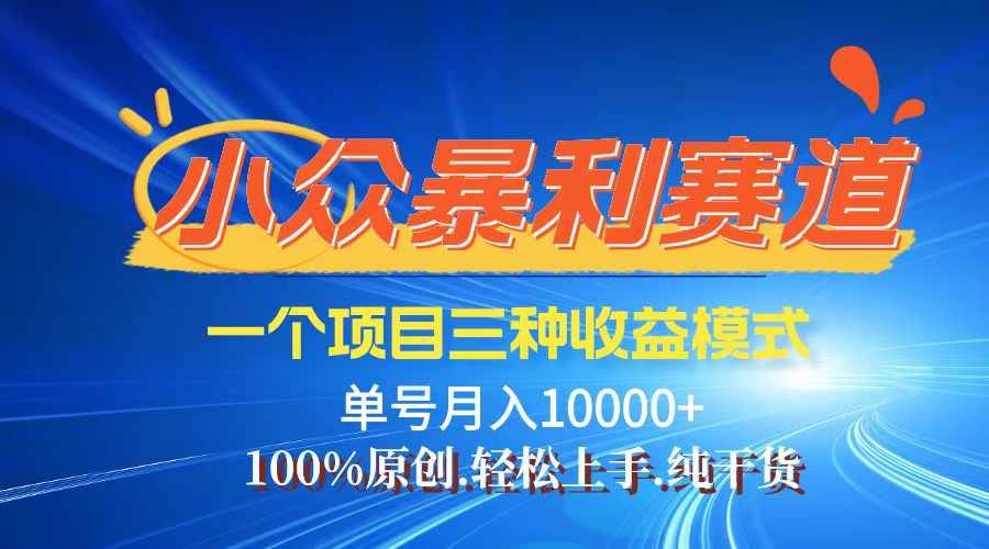 （12579期）【老人言】-视频号爆火赛道，三种变现方式，0粉新号调调爆款-来友网创