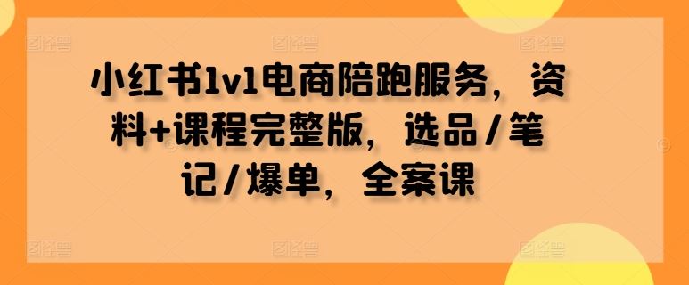 小红书1v1电商陪跑服务，资料+课程完整版，选品/笔记/爆单，全案课-来友网创