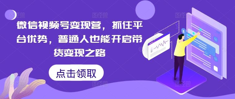 微信视频号变现营，抓住平台优势，普通人也能开启带货变现之路-来友网创