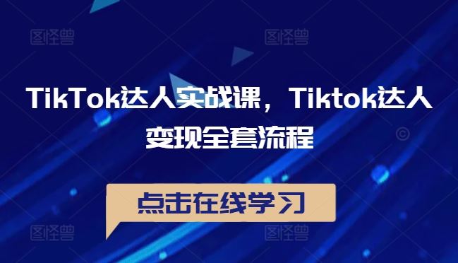 TikTok达人实战课，Tiktok达人变现全套流程-来友网创