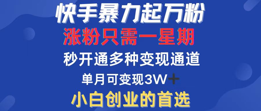 （12651期）快手暴力起万粉，涨粉只需一星期，多种变现模式，直接秒开万合，小白创…-来友网创