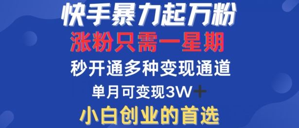 快手暴力起万粉，涨粉只需一星期，多种变现模式，直接秒开万合，单月变现过W【揭秘】-来友网创