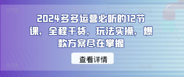 2024多多运营必听的12节课，全程干货，玩法实操，爆款方案尽在掌握-来友网创