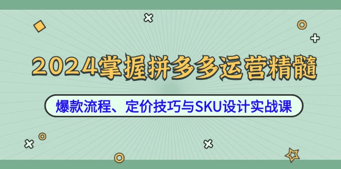 （12703期）2024掌握拼多多运营精髓：爆款流程、定价技巧与SKU设计实战课-来友网创