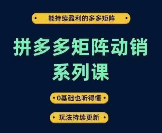 拼多多矩阵动销系列课，能持续盈利的多多矩阵，0基础也听得懂，玩法持续更新-来友网创