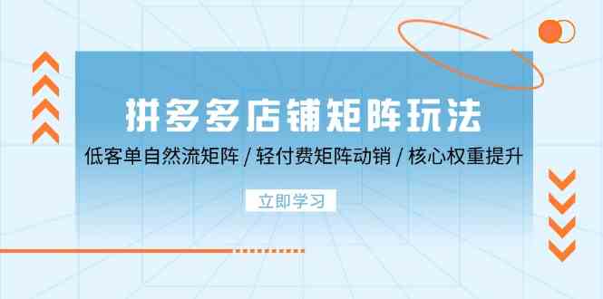 拼多多店铺矩阵玩法：低客单自然流矩阵 / 轻付费矩阵 动销 / 核心权重提升-来友网创