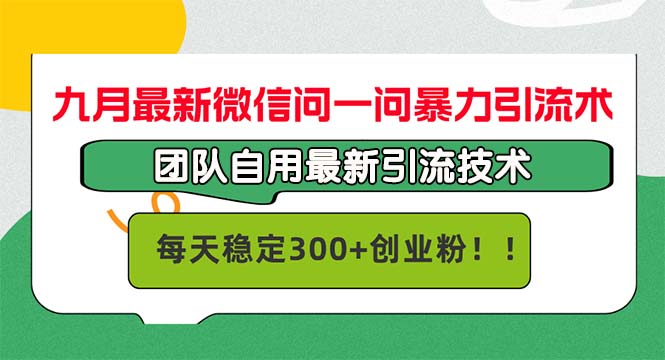 （12735期）九月最新微信问一问暴力引流术，团队自用引流术，每天稳定300+创…-来友网创