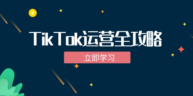 （12739期）TikTok实战运营全攻略：从下载软件到变现，抖音海外版实操教程-来友网创