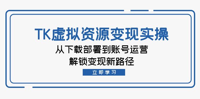 （12770期）TK虚拟资源变现实操：从下载部署到账号运营，解锁变现新路径-来友网创