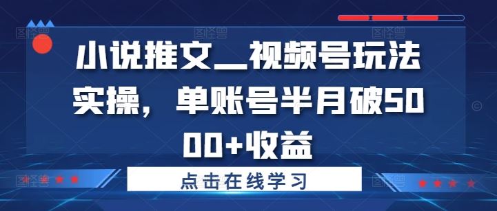 小说推文—视频号玩法实操，单账号半月破5000+收益-来友网创