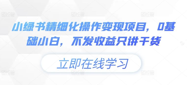 小绿书精细化操作变现项目，0基础小白，不发收益只讲干货-来友网创