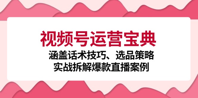 （12808期）视频号运营宝典：涵盖话术技巧、选品策略、实战拆解爆款直播案例-来友网创