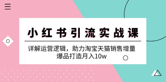 （12809期）小红书引流实战课：详解运营逻辑，助力淘宝天猫销售增量，爆品打造月入10w-来友网创