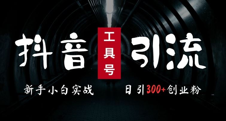 2024最新抖音工具号引流玩法，高效日引300+创业粉，当天变现5k，小白也可成为实战高手-来友网创