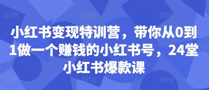 小红书变现特训营，带你从0到1做一个赚钱的小红书号，24堂小红书爆款课-来友网创