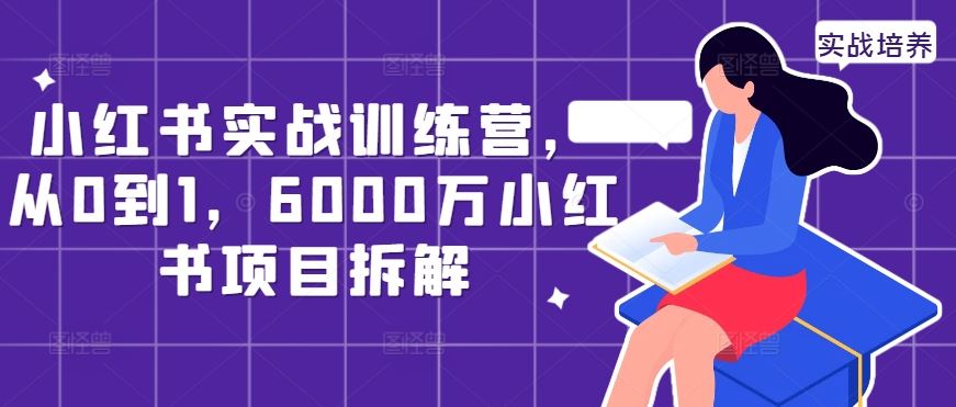 小红书实战训练营，从0到1，6000万小红书项目拆解-来友网创