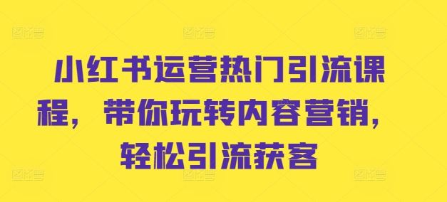 小红书运营热门引流课程，带你玩转内容营销，轻松引流获客-来友网创