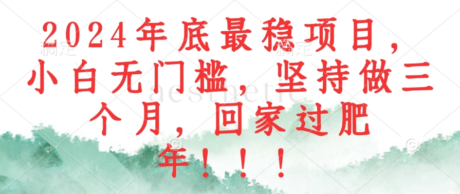 （12970期）2024年底最稳项目，小白无门槛，坚持做三个月，回家过肥年！！！-来友网创