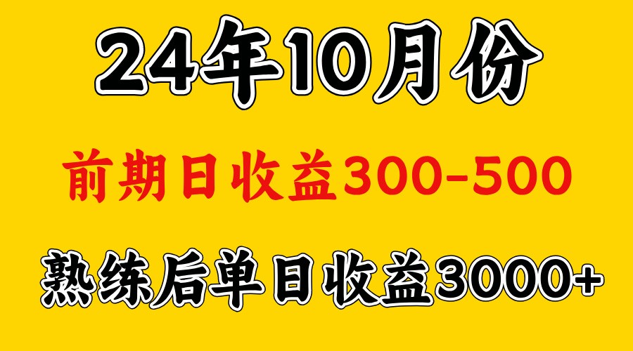 高手是怎么赚钱的.前期日收益500+熟练后日收益3000左右-来友网创