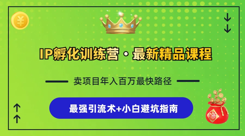 （13055期）IP孵化训练营，知识付费全流程+最强引流术+小白避坑指南-来友网创