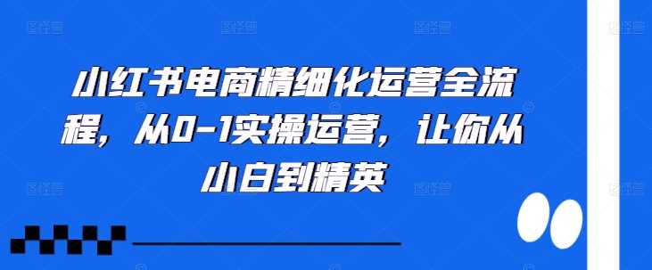 小红书电商精细化运营全流程，从0-1实操运营，让你从小白到精英-来友网创