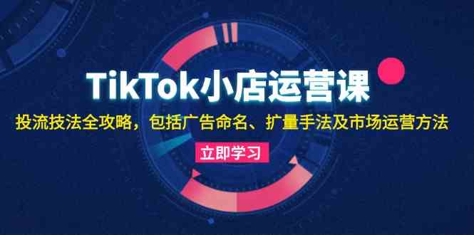 TikTok小店运营课：投流技法全攻略，包括广告命名 扩量手法及市场运营方法-来友网创